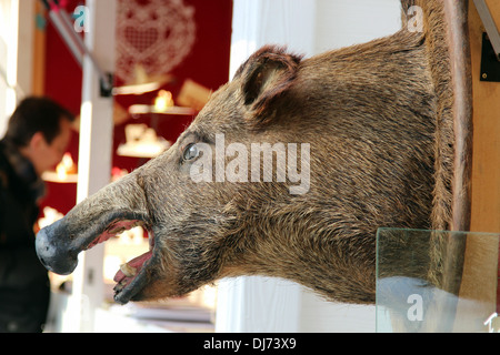 Ein Wildschwein Kopf auf einen Stand auf einem Weihnachtsmarkt. Stockfoto