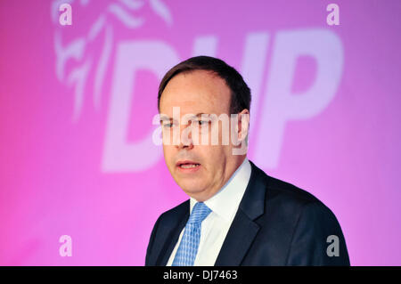 Belfast, Nordirland. 23. November 2013 - Deputy Leader Nigel Dodds befasst sich mit den 2013-Parteitag Credit: Stephen Barnes/Alamy Live News Stockfoto