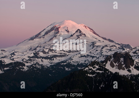 Alpenglühen am Morgen auf dem Mount Rainier aus Shriner Peak, Mount Rainier Nationalpark, Washington. Stockfoto