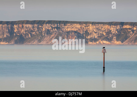 Outfall Rohr in Filey Bay, North Yorkshire. Stockfoto