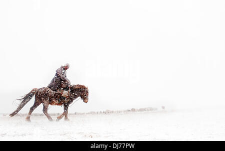 28. März 2012 - Ulziit, Uvurkhangai, Mongolei - reitet ein Hirte seine Tiere während eines Schneesturms zu sammeln. Im letzten Jahrzehnt hat die Mongolei erlebt einer ungewöhnlich hohen Anzahl von Dzud - Herde strenge Wintern, die dezimieren Populationen. Mongolische pastorale Hirten bilden einen der größten restlichen nomadischen Kulturen der Welt. Seit Jahrtausenden haben sie in den Steppen lebten ihre Weidevieh auf den saftigen Wiesen. Aber heute ist ihre traditionelle Lebensweise gefährdet an mehreren Fronten. Neben einer sich rasch wandelnden wirtschaftlichen Landschaft drohen Klimawandel und Wüstenbildung auch Stockfoto