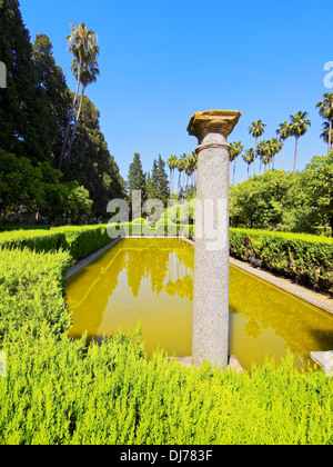 Gärten in Reales Alcazares in Sevilla - Residenz entwickelte sich aus einem ehemaligen maurischen Palast in Andalusien, Spanien Stockfoto