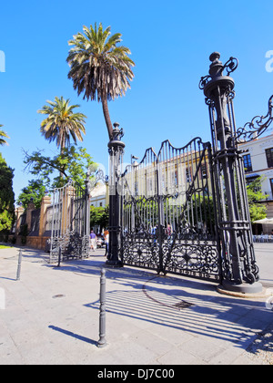 Königliche Tabakfabrik in Sevilla - jetzt an der Universität Sevilla, Andalusien, Spanien Stockfoto