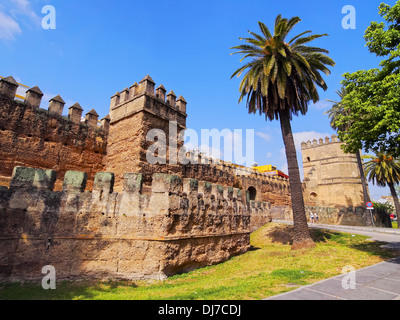 Römische Mauern von La Macarena Distrikt in Sevilla, Andalusien, Spanien Stockfoto