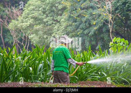 Gärtner die Bewässerung der Sträucher im Victoria Park, Hong Kong. Stockfoto