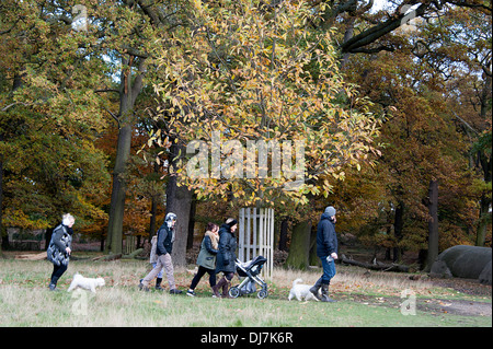 Samstag Nachmittag im Herbst Spaziergang im Richmond Park in London Stockfoto
