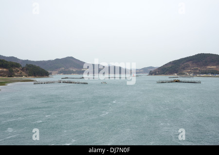 Koreanische traditionelle Methode für Fischerei Sardellen durch Strömung des Meerwassers Stockfoto
