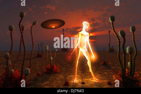 Licht wird. 2. Stockfoto