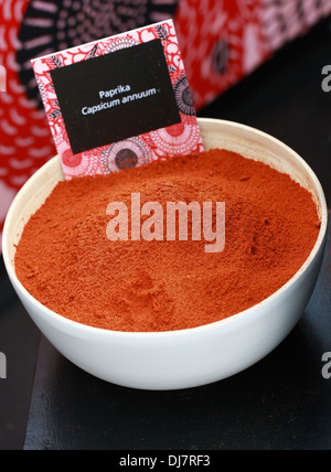 Paprika, Capsicum Annuum, Solanaceae. Stockfoto