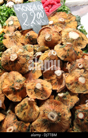 Pilze für den Verkauf auf einem Marktstand Stockfoto
