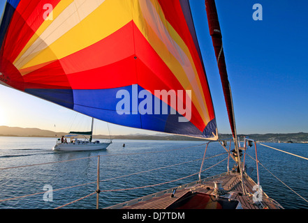 Entnommen aus dem Deck einer Yacht in der Lagune von Knysna, Südafrika. Stockfoto