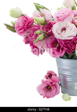 Eustoma Blumen im Metalltopf hautnah Stockfoto