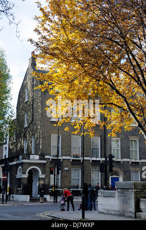 Belebten Ecke Gower Street zeigt georgische Häuser und Baum mit Herbst Blätter im Vordergrund Bloomsbury London England UK Stockfoto