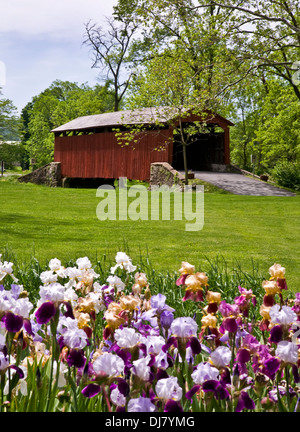 Vintage Pool Forge rot überdachte Brücke, farbenfroher Frühling Iris Gartenrandblumen im Vordergrund, Narvon, Pennsylvania, USA, Nordamerika, Deutsch Stockfoto