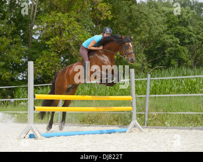 Junge Frau, die auf ein Connemara Pony-Hengst über einen Zaun springen ohne Sattel reiten Stockfoto