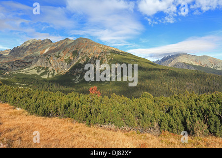 Berg-Tal Hotel Dolina, hohe Tatra, Slowakei. Stockfoto