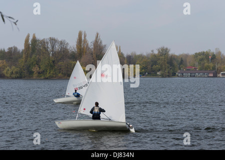 Laser Standard Segelboote Segeln in den frühen Morgenstunden auf Herastrau See, Bukarest, Rumänien Stockfoto