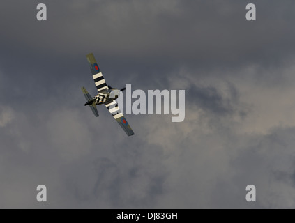 Grumman FM-2 Wildcat, WW2 Kampfflugzeug mit Royal Navy Markierungen bei Duxford Air fliegen zeigen .UK, 2013 Stockfoto