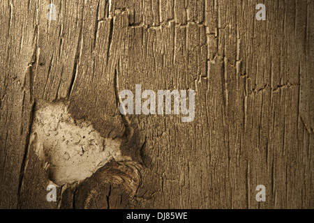 Im Alter von Rinde Closeup (desing Element Textur) Stockfoto