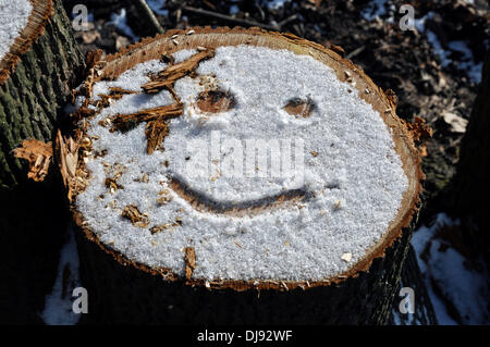 Berlin, Deutschland. 22. Januar 2011. (ILLUSTRATION) - Ein Smiley wurde in den Schnee auf einem Baumstumpf im Grünwaldwald in Berlin, Deutschland, am 22. Januar 2011 gehauen. Fotoarchiv für Zeitgeschichte - ACHTUNG. KEIN KABELDIENST -/dpa/Alamy Live News Stockfoto