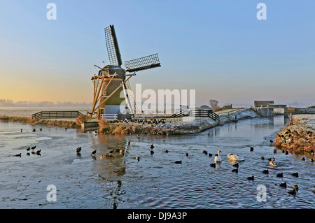 Entwässerung Mühle '' Hope Federn ewigen '' im typisch holländischen flache Landschaft im Winter, Voorhout, Südholland, Niederlande Stockfoto