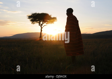 Massai-Stamm, Masai Mara National Reserve, Kenia, Ostafrika Stockfoto