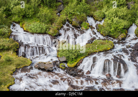 Hraunfossar Wasserfall fließt in den Fluss Hvita, Borgarfjörður, Island Stockfoto