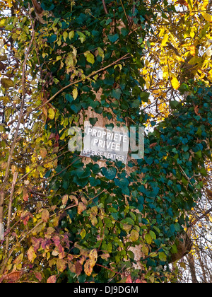 Französisch Propriété Privée / Défence d'Entrer - Private Property / No Entry sign auf Baum. Stockfoto