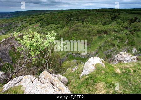 Sommer-Blick über die Kalksteinfelsen der Cheddar Gorge, Mendip Hügel, Somerset County, England, UK Stockfoto