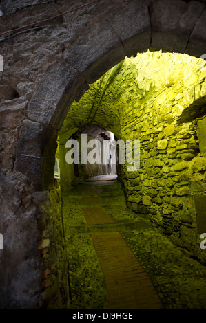 Reisen Europa Italien Ligurien Dolceacqua Mittelalter Val Nervia Burg niemand outdoors Stockfoto