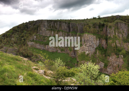 Sommer-Blick über die Kalksteinfelsen der Cheddar Gorge, Mendip Hügel, Somerset County, England, UK Stockfoto