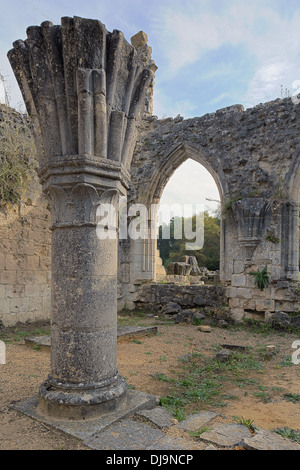 Isolierte Säule in den Ruinen der Abtei Stockfoto