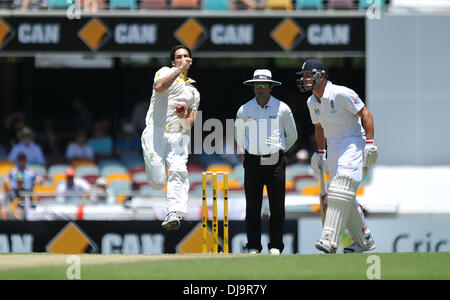 Brisbane, Australien. 22. November 2013. MITCHELL JOHNSON Gabba Cricket Ground. Tag2 der ersten Asche Test 2013/14 Australien gegen England. © Aktion Plus Sport/Alamy Live-Nachrichten Stockfoto