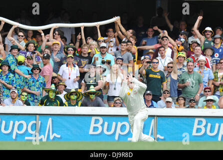 Brisbane, Australien. 22. November 2013. Gabba Cricket Ground zu fangen. Tag2 der ersten Asche Test 2013/14 Australien gegen England. © Aktion Plus Sport/Alamy Live-Nachrichten Stockfoto