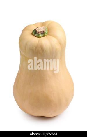 Butternut-Kürbis auf weißem Hintergrund Stockfoto