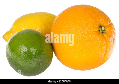 Frische reife Saftige Zitrusfrüchte einschließlich einer Orange, Zitrone und Limette gegen einen weißen Hintergrund mit Keine Personen Stockfoto