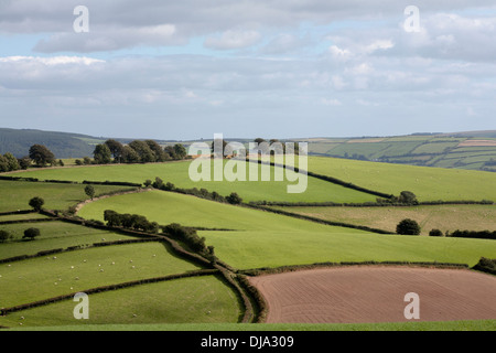 Einen Blick über einen Teil des Clun Waldes in der Nähe von Newcastle und Clun aus der Offa es Dyke Path Shropshire England Stockfoto