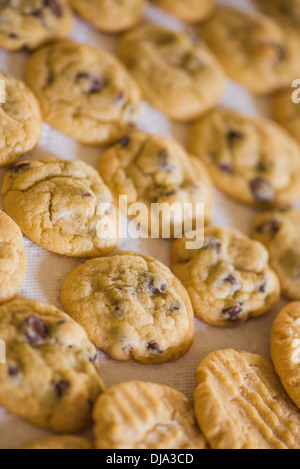 Ein Blatt gebackene Schokolade Chip und Erdnussbutter Kekse, frisch aus dem Ofen und Kühlung Stockfoto