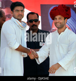 Puskar, Indien. 25. November 2013. Indian Congress Party Vice President Rahul Gandhi (R) schüttelt Hände mit Kongress Leader Sachin Pilot bei einer öffentlichen Sitzung vor den Wahlen zur Nationalversammlung von Rajasthan in Pushkar 25. November 2013. Bildnachweis: Xinhua/Alamy Live-Nachrichten Stockfoto