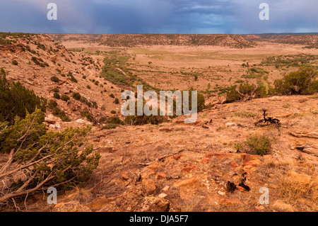 Blick auf den Canyon Purgatoire Fluss, Picketwire Canyonlands, Comanche National Grassland südlich von La Junta, Colorado. Stockfoto