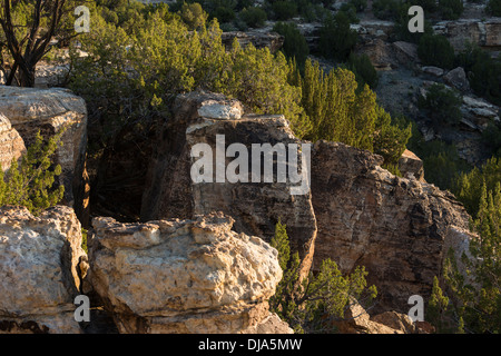Klippen oberhalb des Flusses Purgatoire, Picketwire Canyonlands, Comanche National Grassland südlich von La Junta, Colorado. Stockfoto