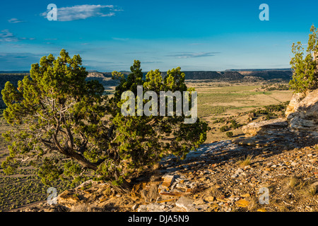 Wacholder und Canyon, Purgatoire Fluss, Picketwire Canyonlands, Comanche National Grassland südlich von La Junta, Colorado. Stockfoto