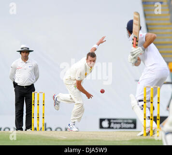 Gabba Boden, Brisbane, Australien. 23. November 2013. PETER SIDDLE. Tag3 der ersten Asche Test 2013/14 Australien gegen England. Bildnachweis: Aktion Plus Sport/Alamy Live-Nachrichten Stockfoto