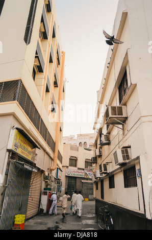 Eine Taube fliegt zwischen Gebäuden in den engen Gassen von Deira. Dubai, Vereinigte Arabische Emirate. Stockfoto