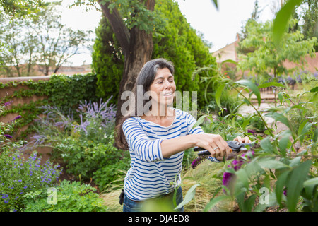 Hispanic Frau Schnitt-Blumen im Garten Stockfoto