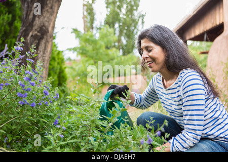 Hispanic Frau Blumen im Garten gießen Stockfoto