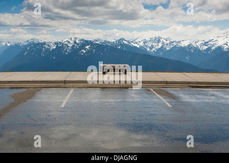 Parkbank mit Blick auf Hurricane Ridge, Olympic National Park, Port Angeles, Washington, Vereinigte Staaten Stockfoto