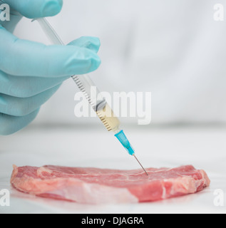 Nahaufnahme einer behandschuhten Forscher Hand Fleisch injizieren Stockfoto