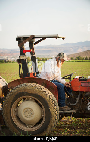 Kaukasische Landwirt mit Handy auf Traktor Ernte Feld Stockfoto