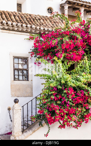 Eingang eines Hauses, bewachsen mit roten Bougainvillea, Alcantarilha, Algarve, portugal Stockfoto